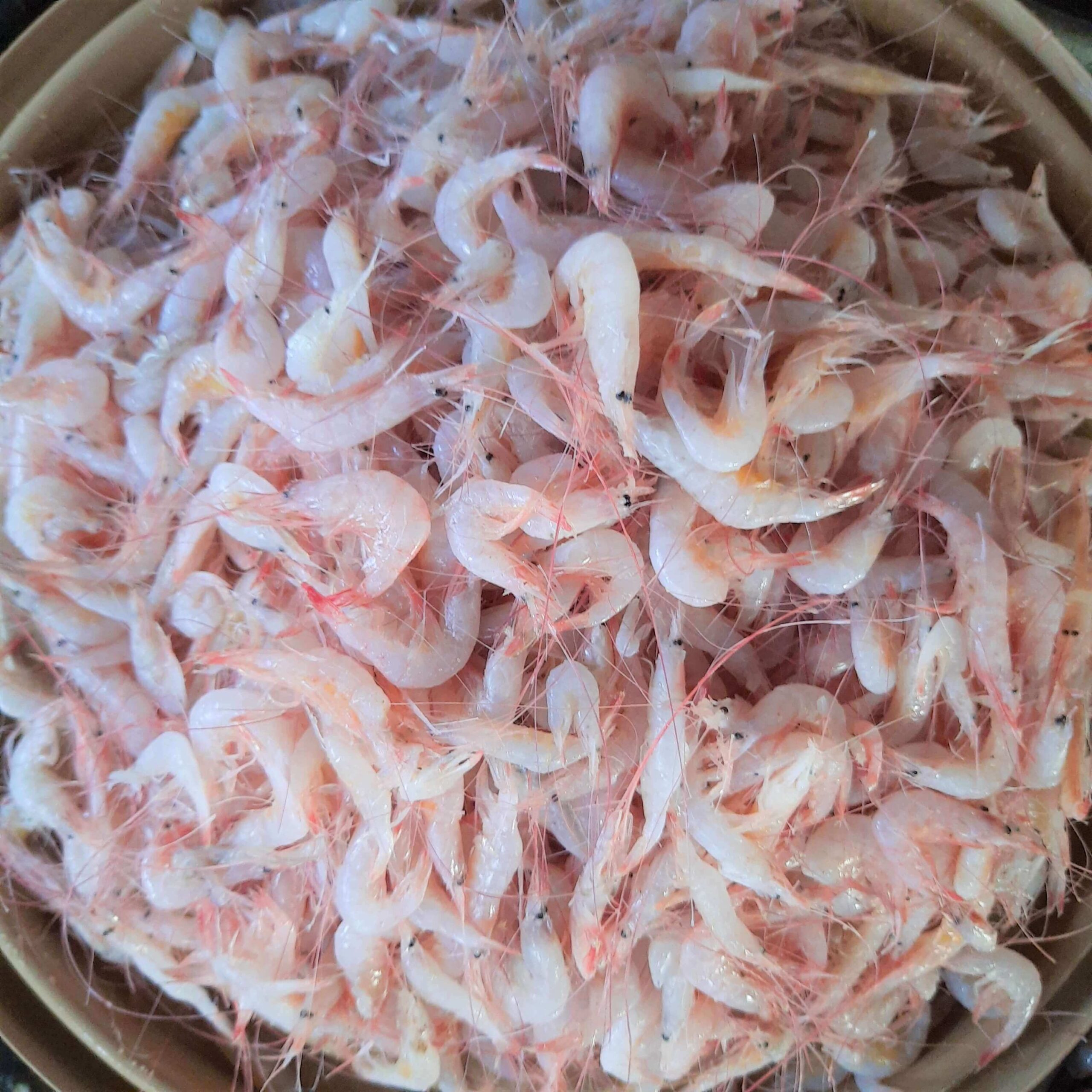 Small Prawns